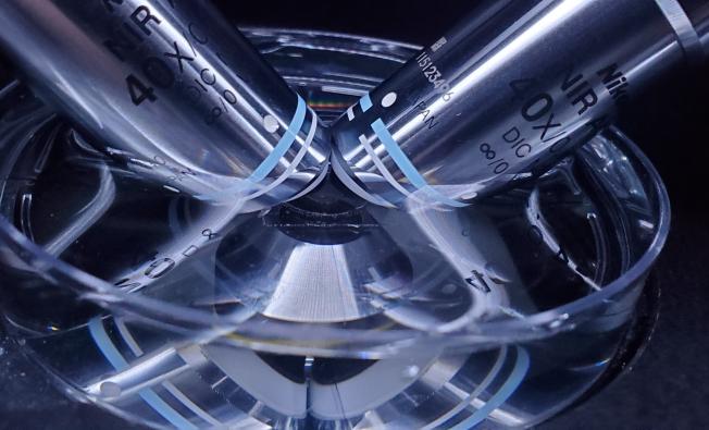 Technical advances in single-molecule microscopy in live hair cells