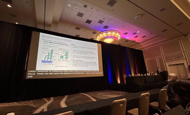 MYO7A and assembly of the MET machinery