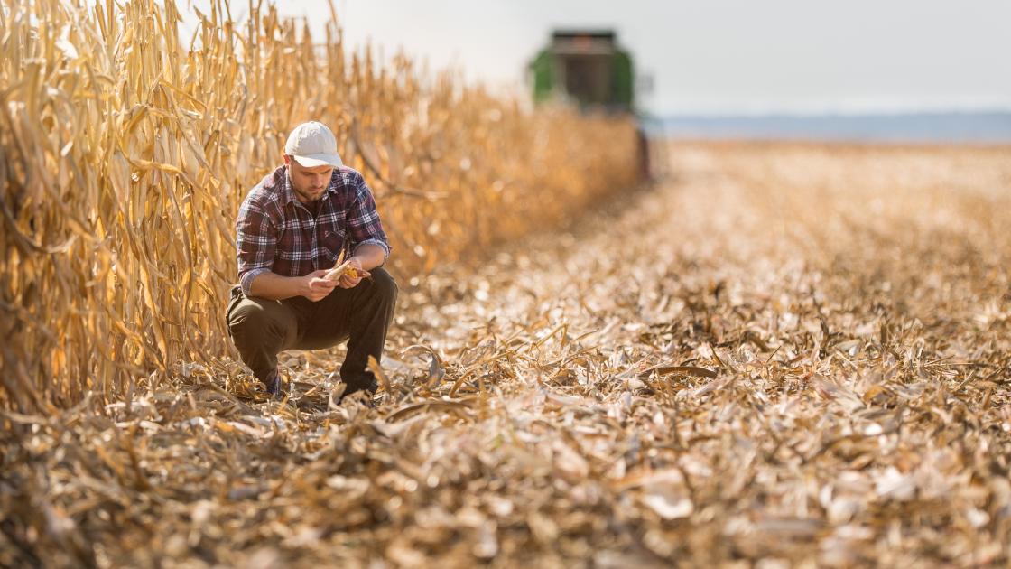 blog-rural-mental-health