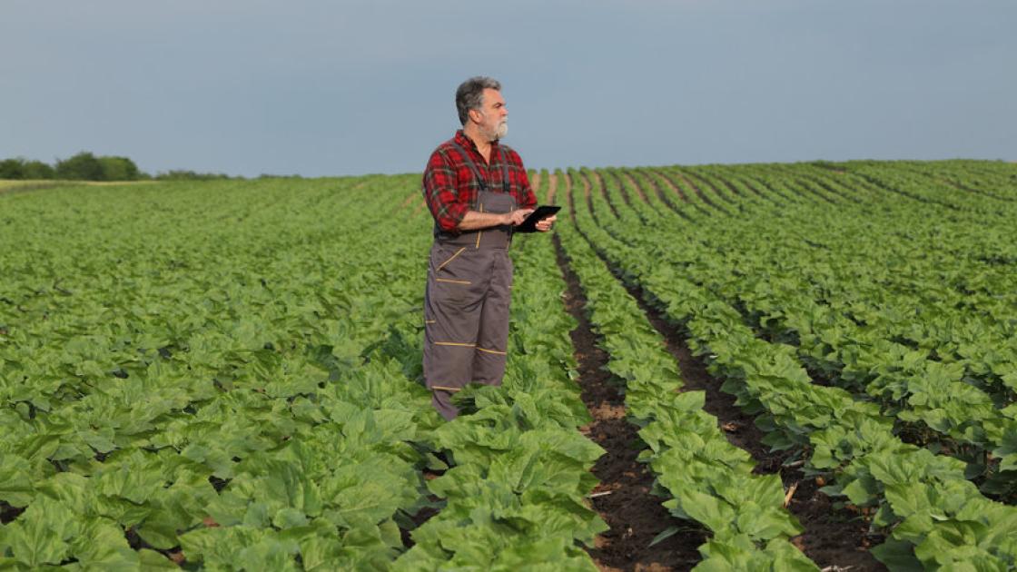 blog-farm-skin-cancer