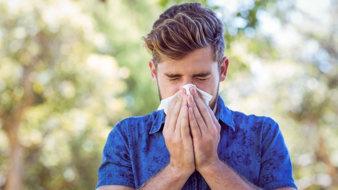 blog-late-summer-allergies