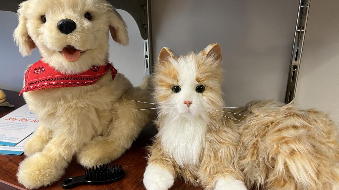 Electronic dog and cat