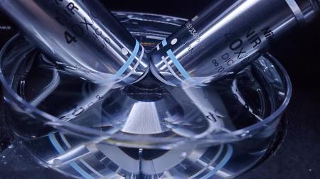 Technical advances in single-molecule microscopy in live hair cells