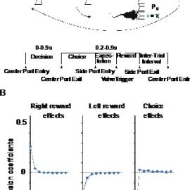 Probabilistic reward task showing the trial structure and behavioral epochs.