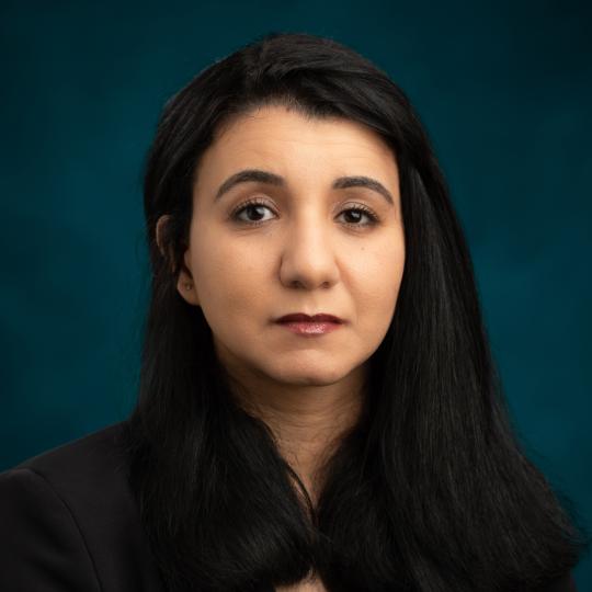 Laila Mahmoud Hashim